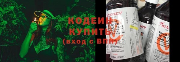spice Инсар
