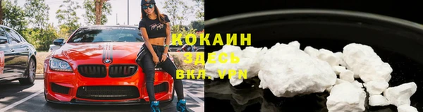 spice Инсар