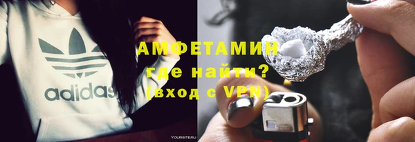 прущие грибы Каменка