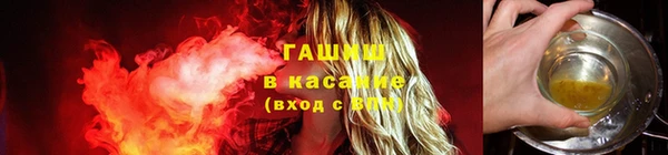 spice Инсар