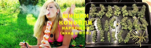 прущие грибы Каменка