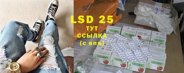 spice Инсар