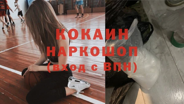 spice Инсар