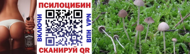 Купить  Дальнереченск  Псилоцибиновые грибы мухоморы 